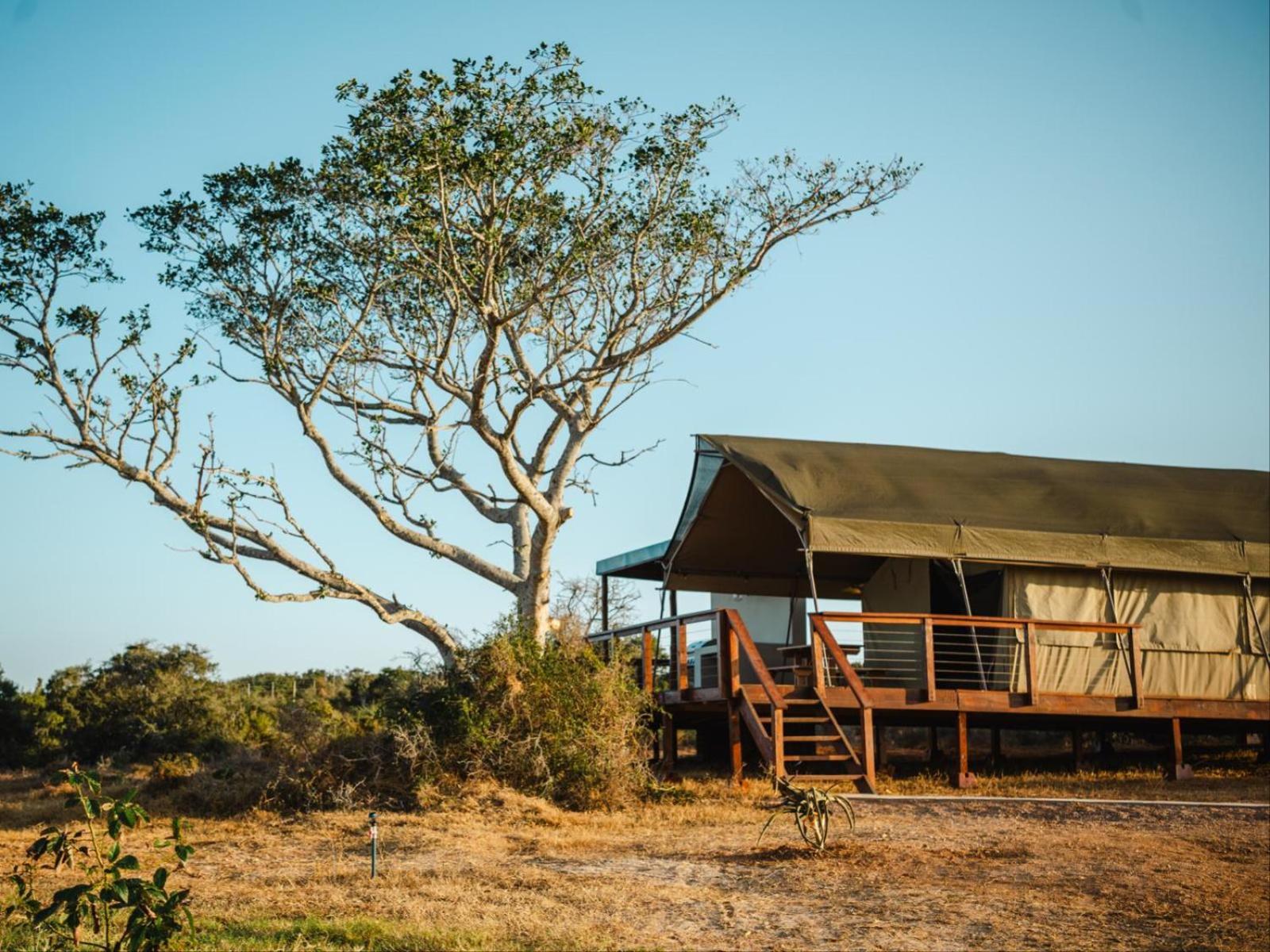 Longhill Reserve Addo Kültér fotó