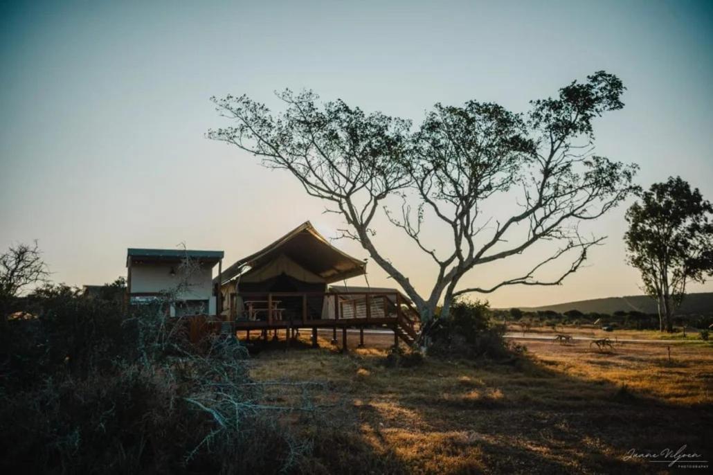 Longhill Reserve Addo Kültér fotó